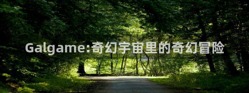 age动漫一周更新：Galgame:奇幻宇宙里的奇幻冒险