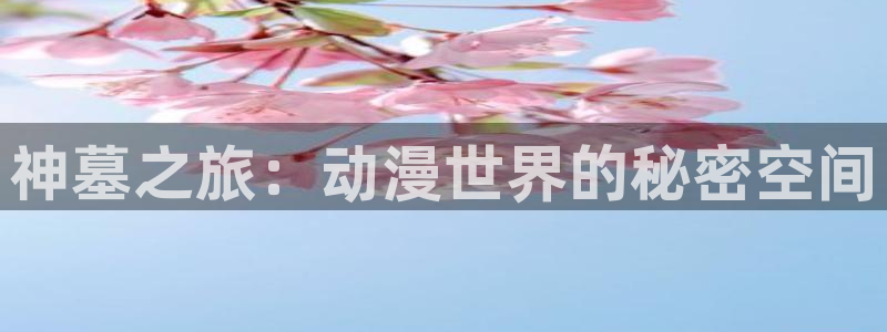 age动漫专注动漫的门户网站：神墓之旅：动漫世界的秘密空间