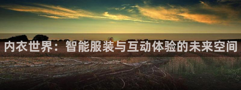 age动漫网站：内衣世界：智能服装与互动体验的未来空间
