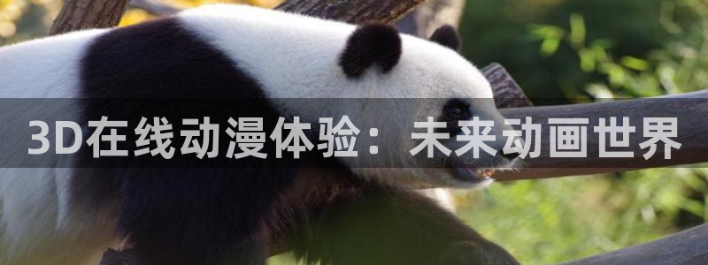age动漫网 官网：3D在线动漫体验：未来动画世界